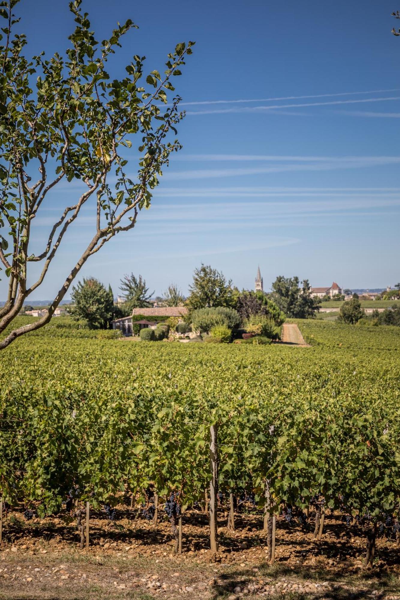 Les Clefs De Troplong Mondot Saint-Émilion Екстериор снимка